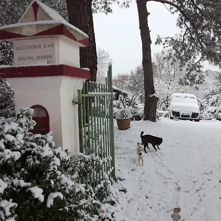 Bed & Breakfast Millefiori *