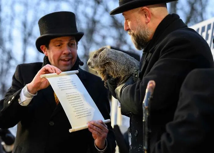 Bed & Breakfast Millefiori *