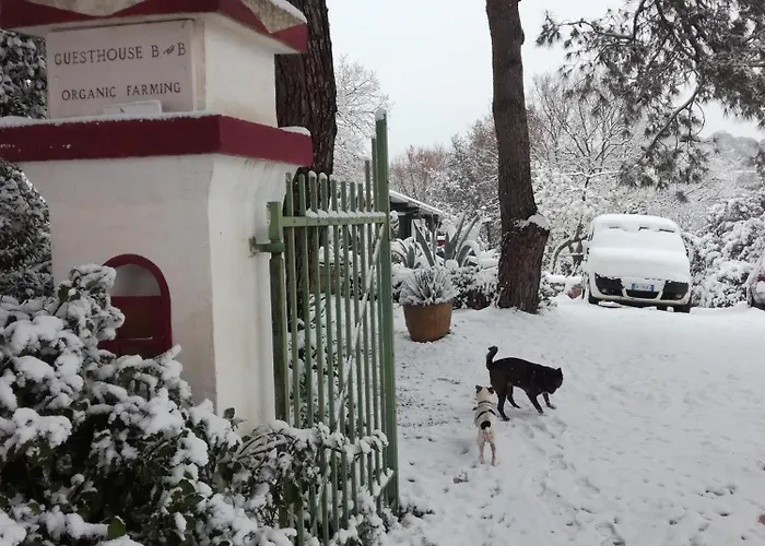 Bed & Breakfast Millefiori *